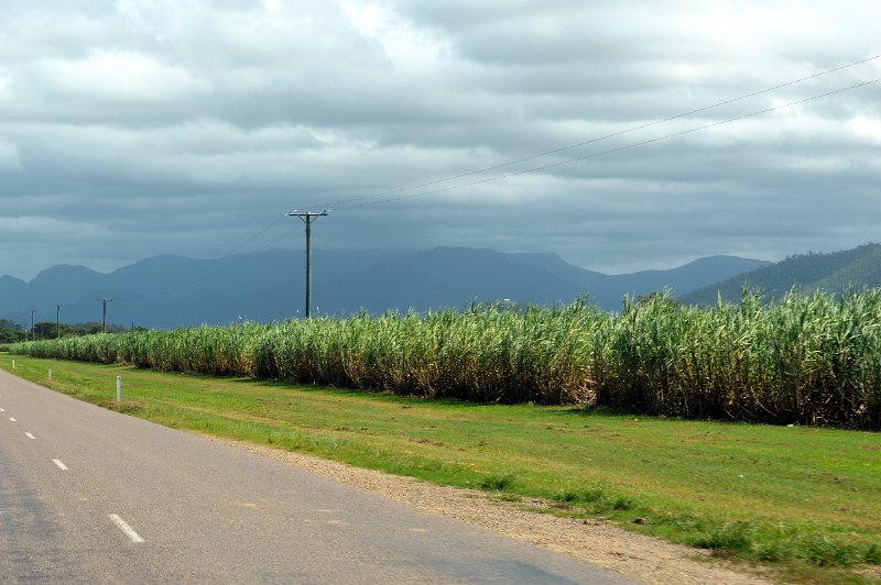16Lucinda (16).JPG - Drive from Lucinda to Cardwell